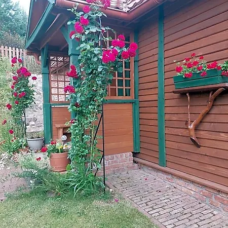 山林小屋 Dom Letniskowy Ostaszewo *